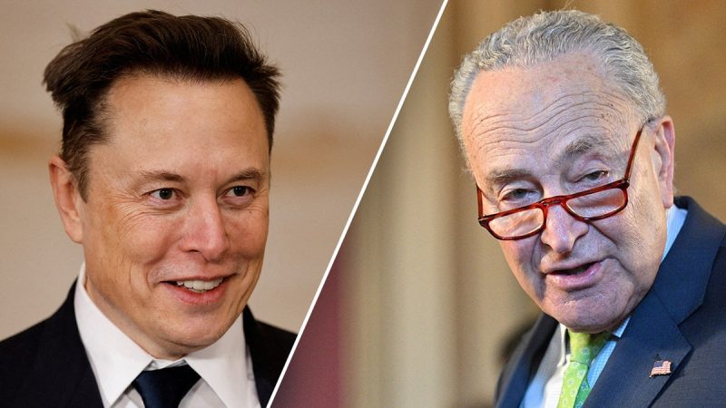 musk-schumer-800×450-1