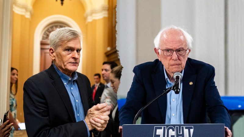 bernie-cassidy-800×450-1