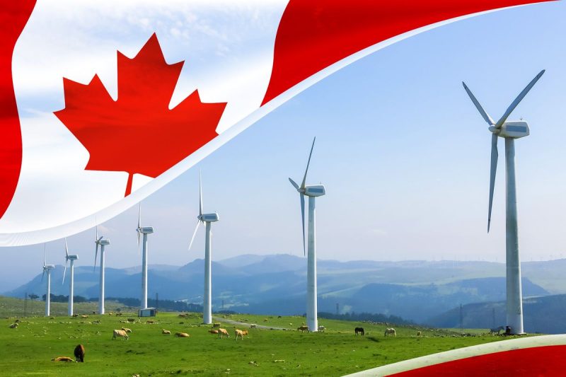 field-with-windmills-overlayed-by-canadian-flag-PVLEkQ-800×533-1