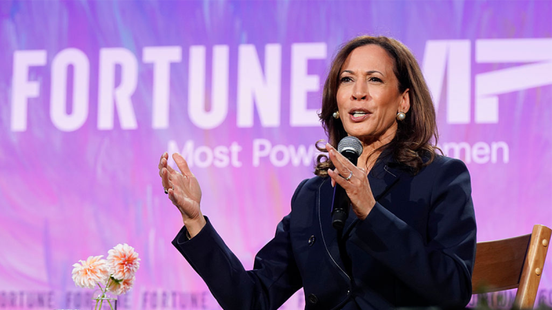 kamala-harris-criticizes-joe-biden-elon-musk-in-2021-800×450-1