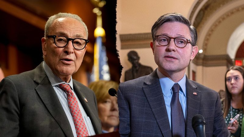 schumer-johnson-shutdown-800×450-1