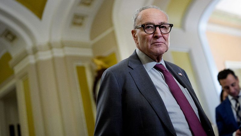 senate-minority-leader-chuck-schumer-walks-near-chamber-800×450-3